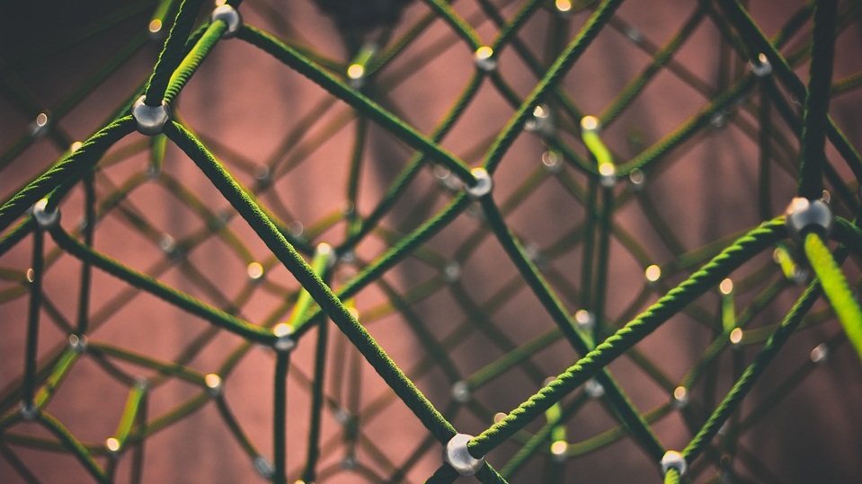 Network